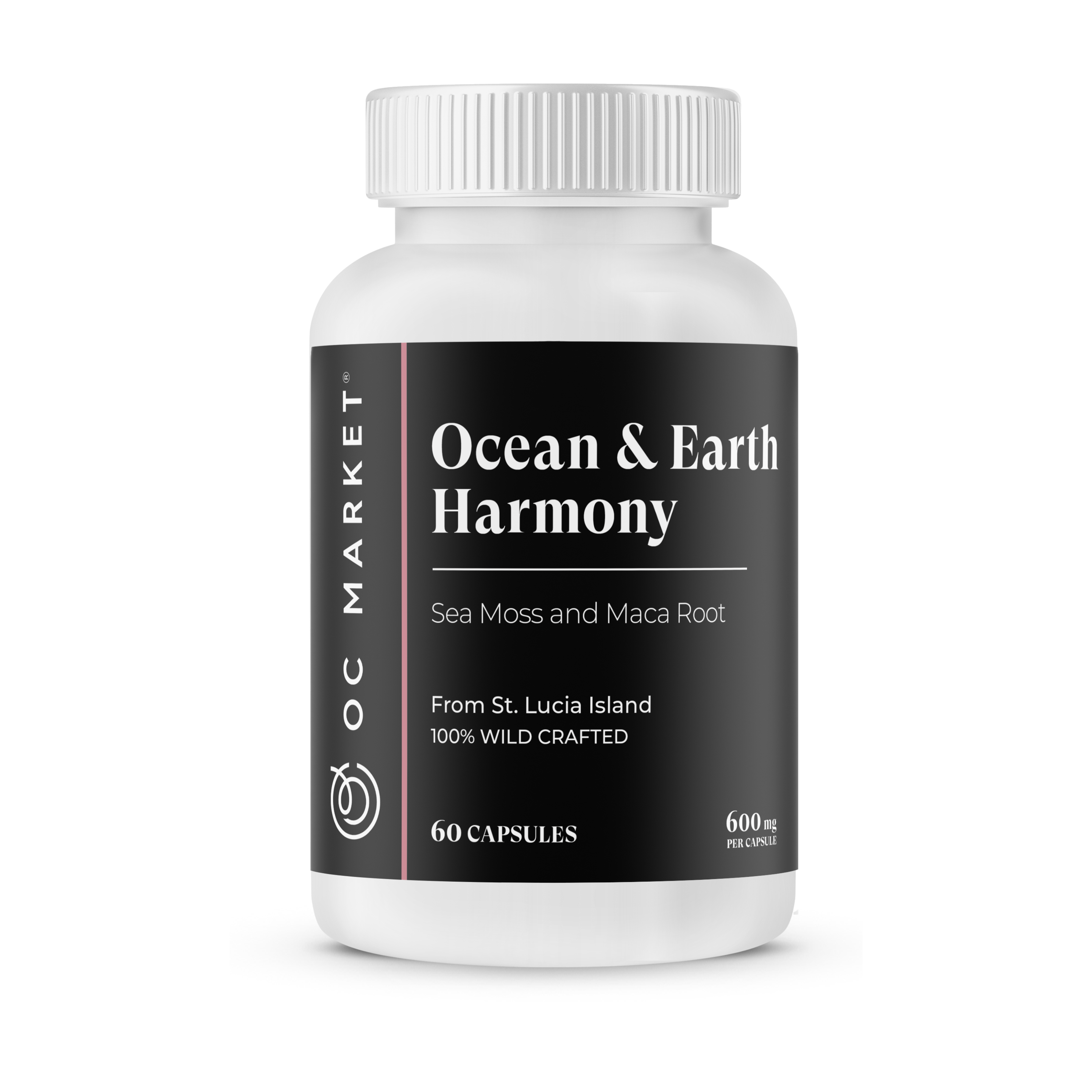 OCEAN & EARTH HARMONY